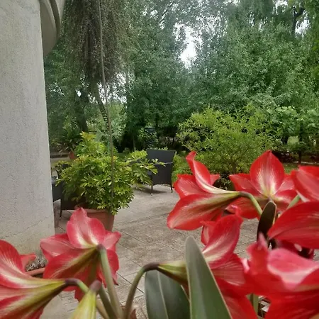 Da Nonna Mariuccia